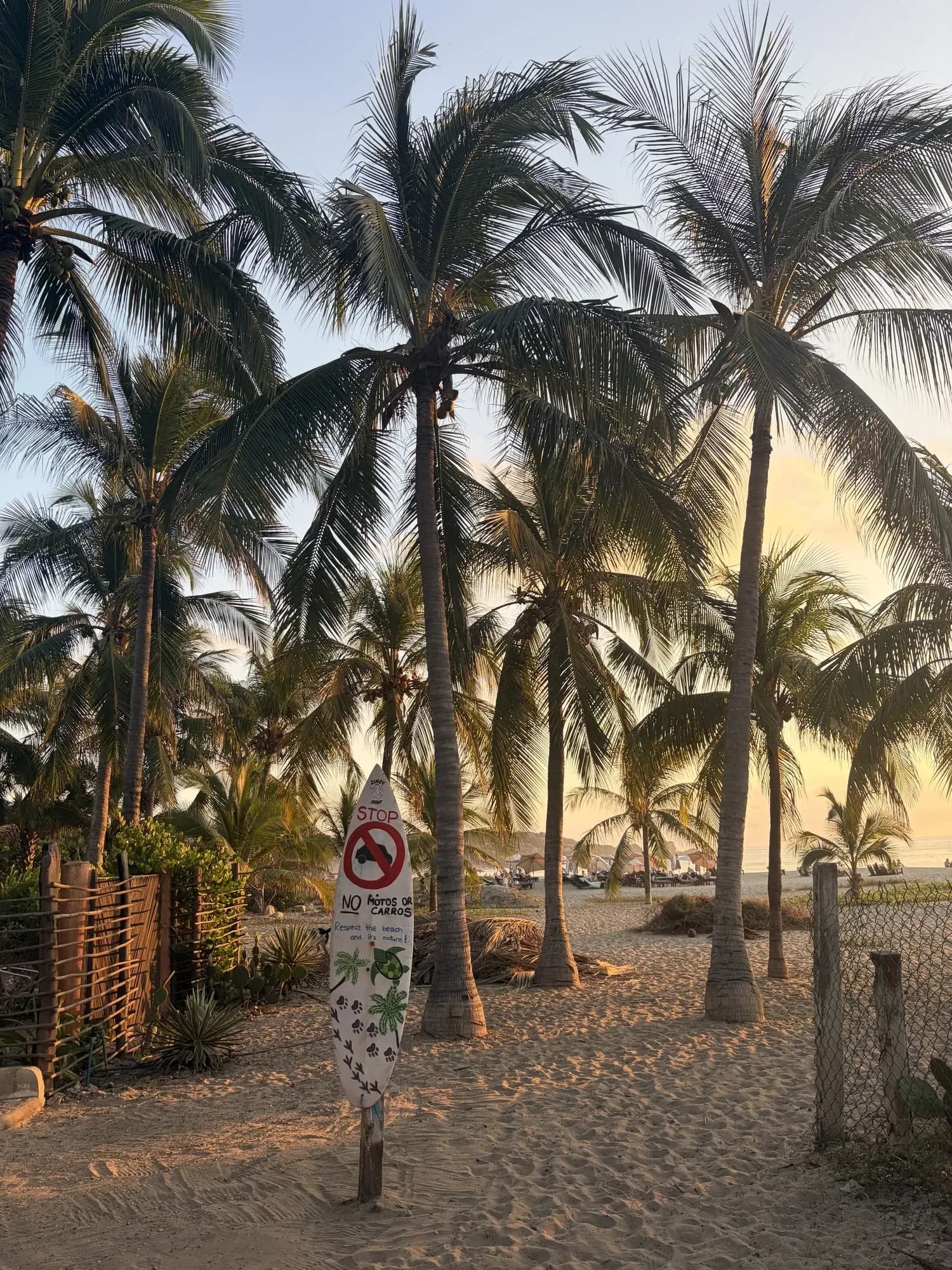 Beach background